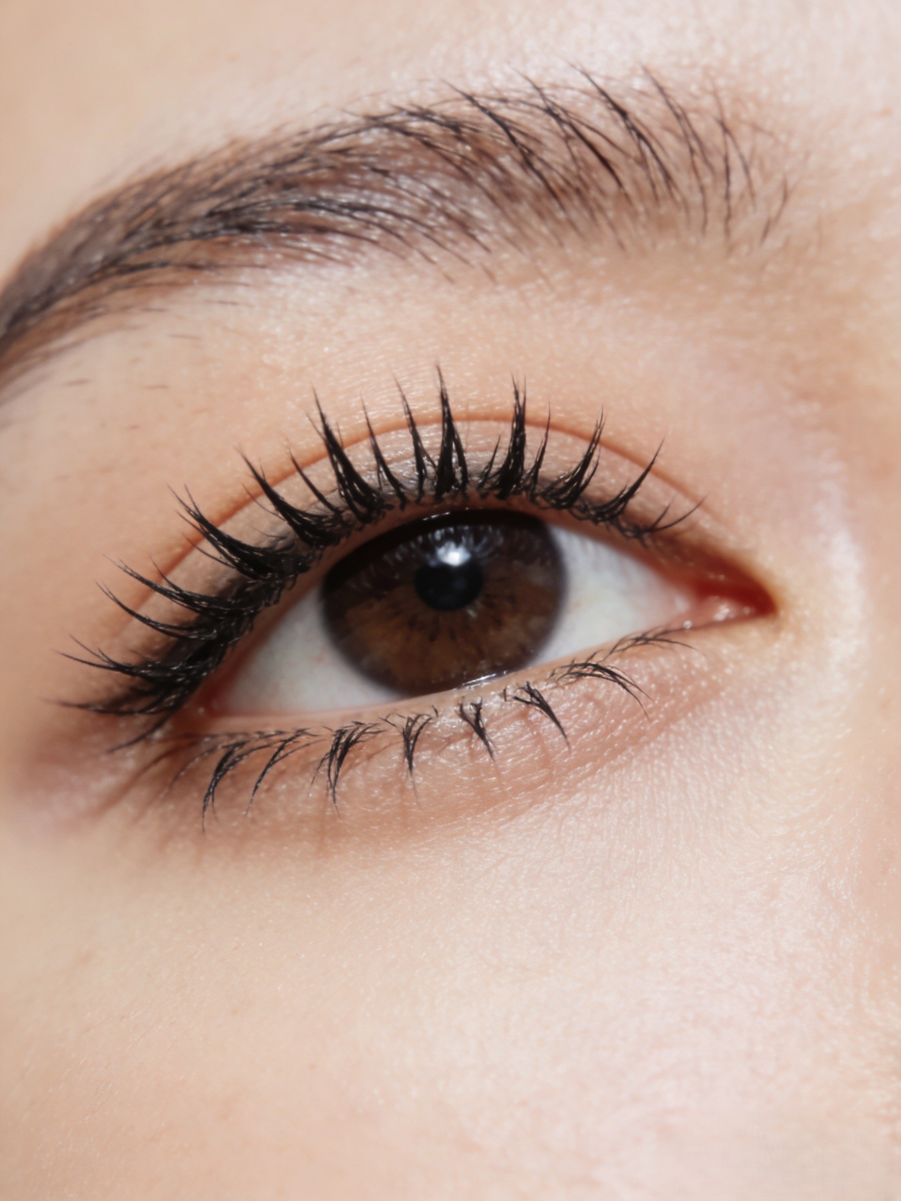 Aurorae Beauty gallery image